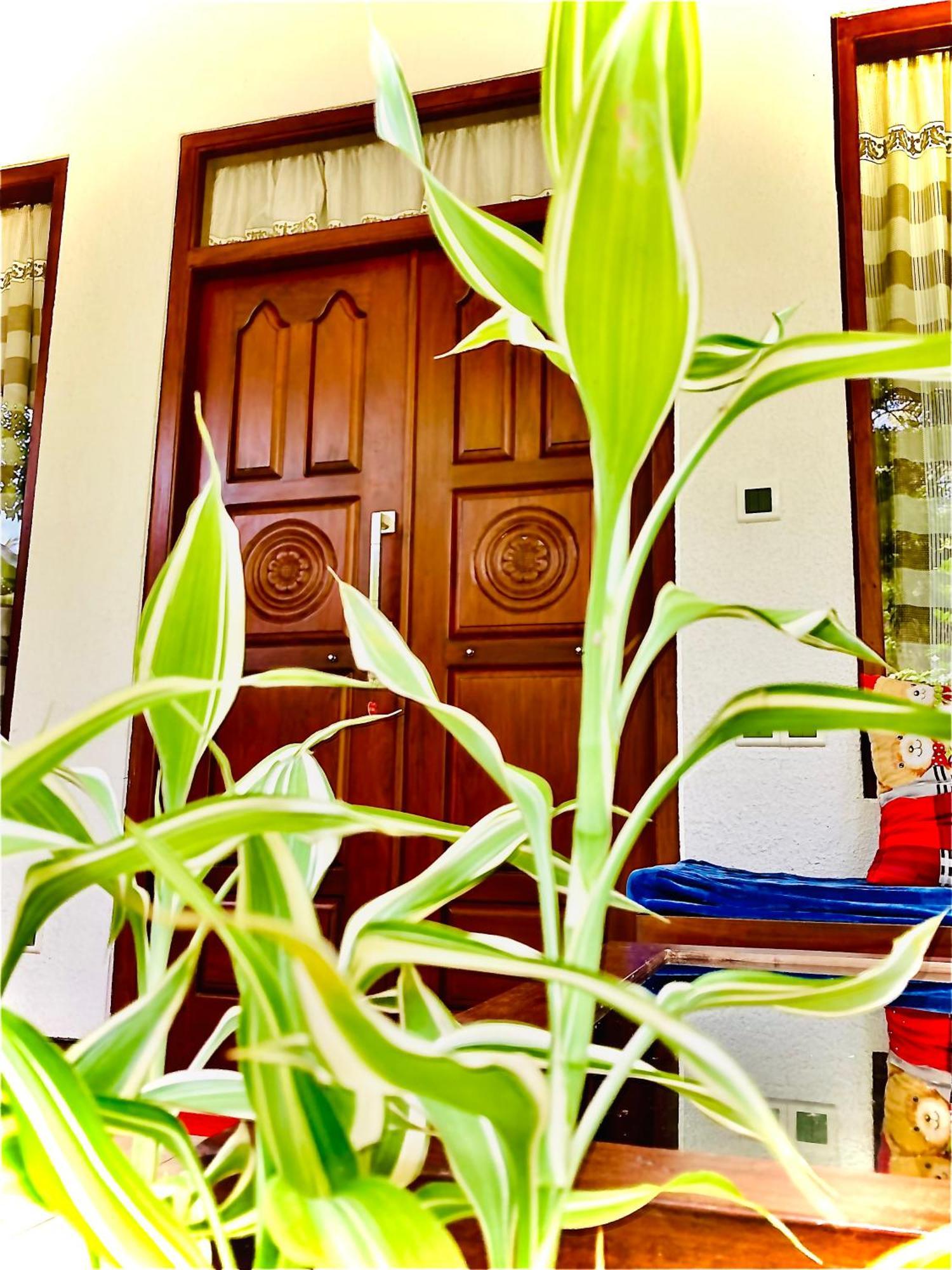 Mountain Seaview Cabanas Тангале Екстериор снимка