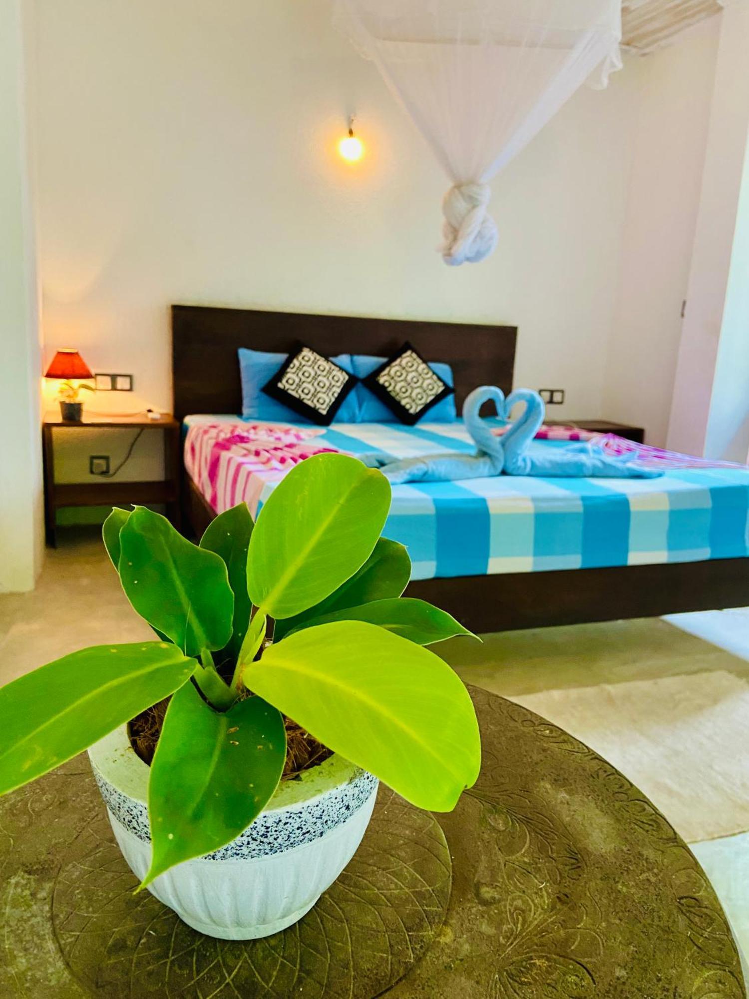 Mountain Seaview Cabanas Тангале Екстериор снимка